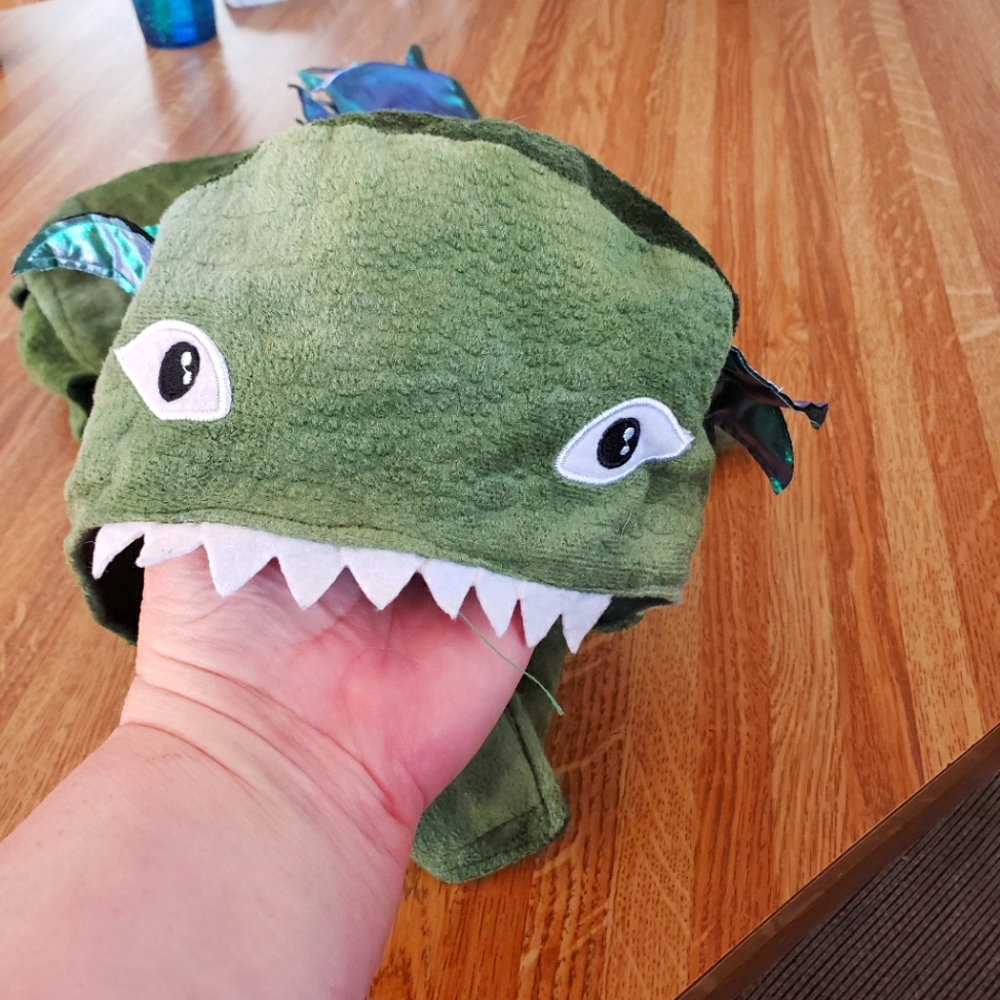 Dog Dragon costume